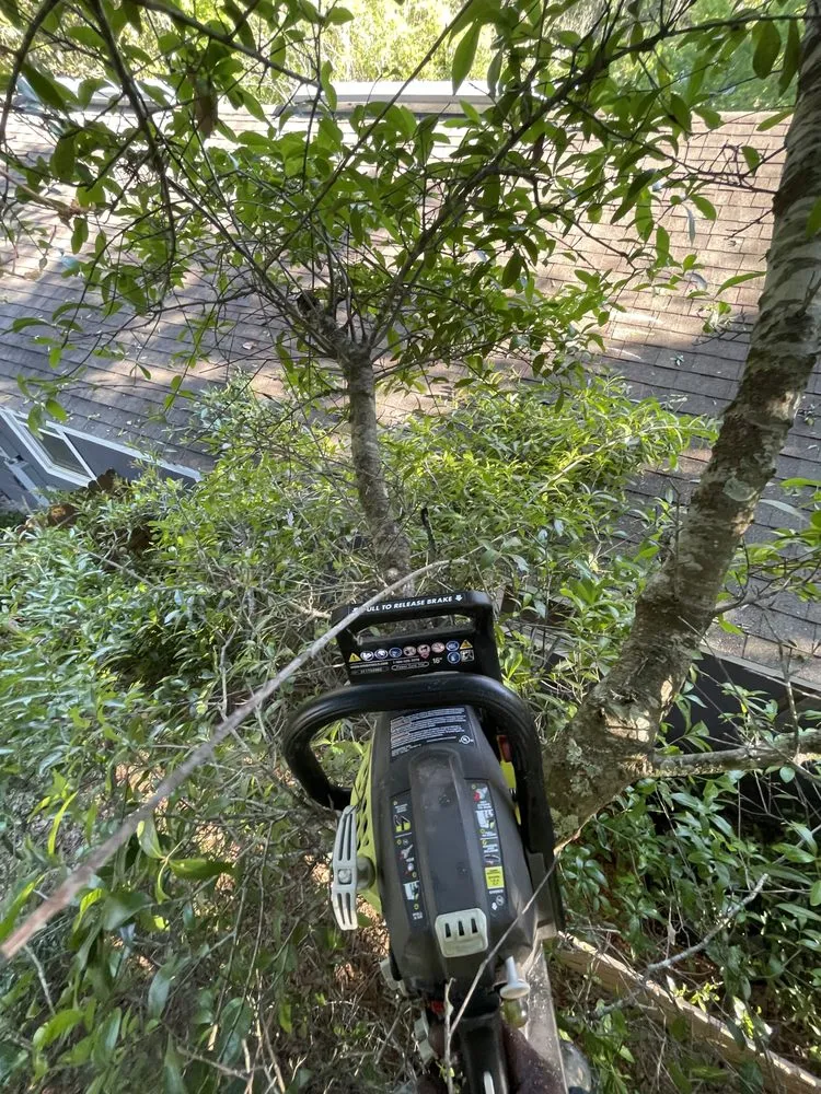 Reliable lawn care service with custom design across Sanford, FL - Bens 1 In A Million Handyman