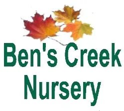 Affordable landscape installation experts serving Littleton, NC - Ben's Creek Nursery