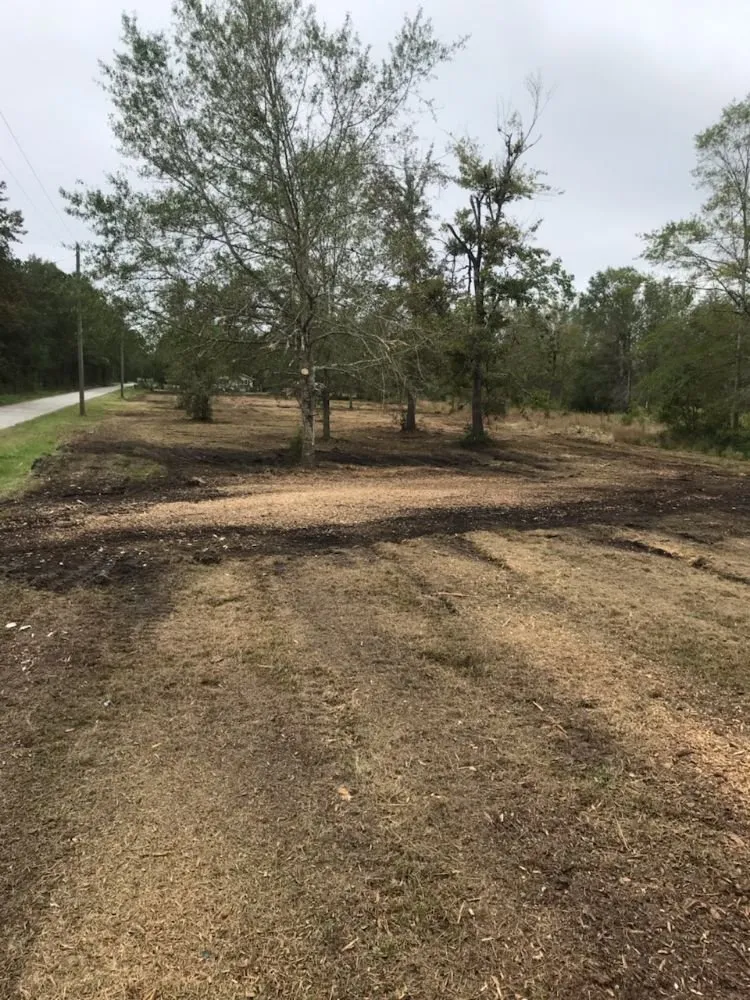 Expert residential landscaping in New Bern, NC by Ben's Excavating & Land Development