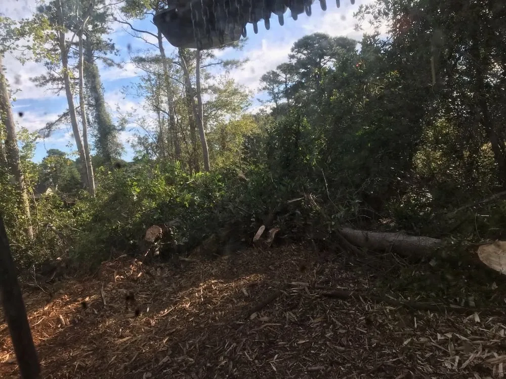 Reliable landscaping services in New Bern, NC - Ben's Excavating & Land Development