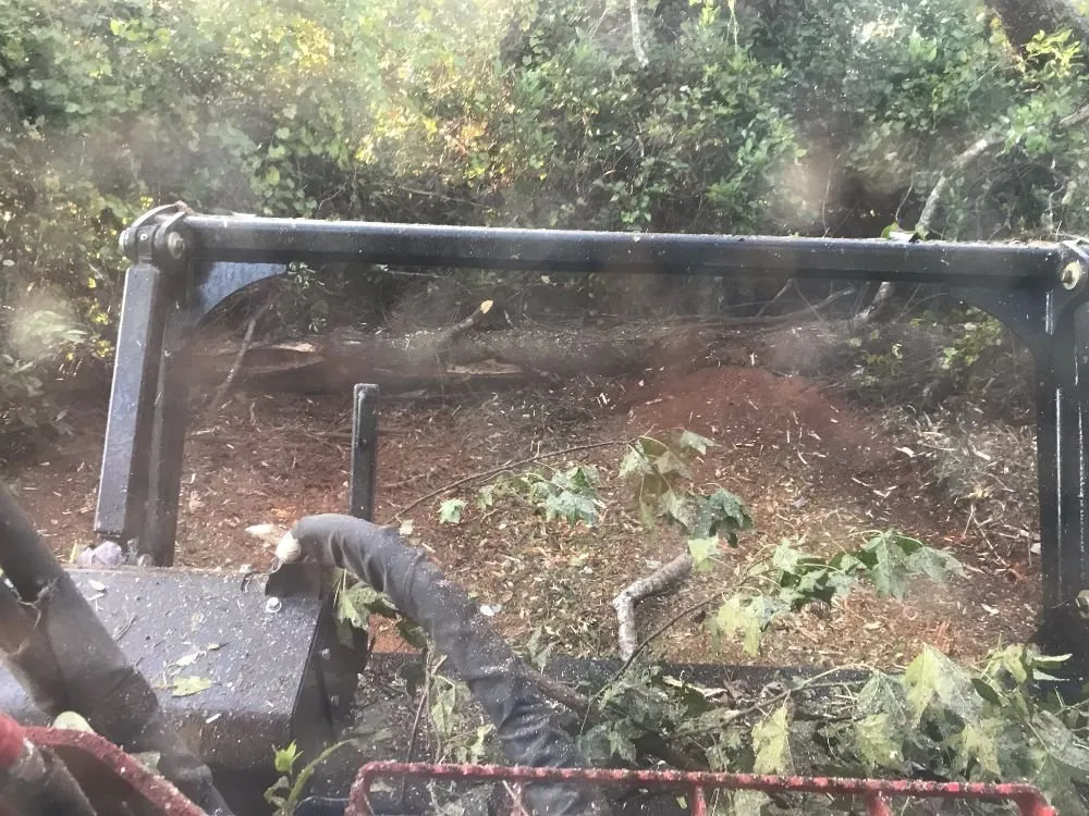 Professional landscape installation experts serving New Bern, NC - Ben's Excavating & Land Development