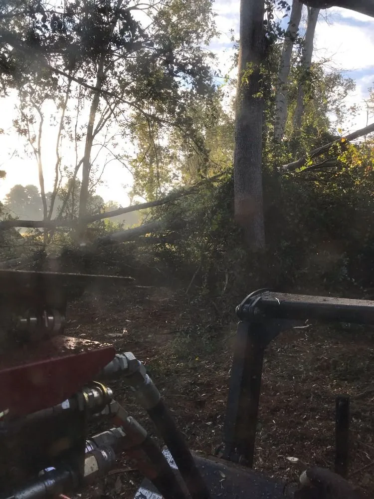 Top-rated lawn mowing service near you in New Bern, NC by Ben's Excavating & Land Development