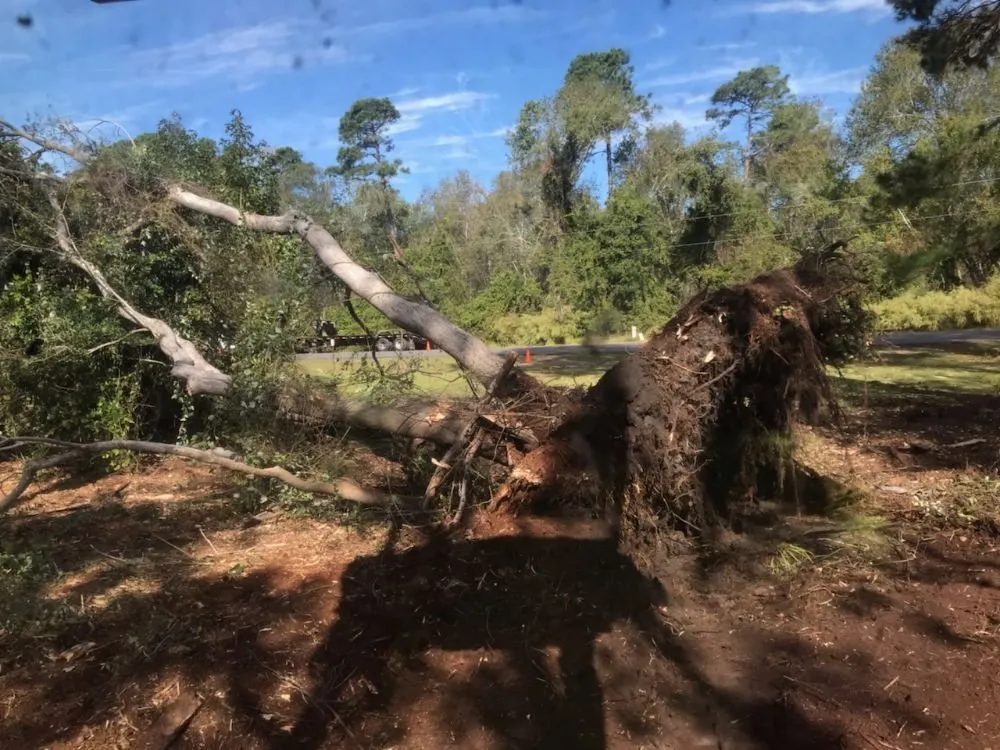 Top-rated landscaping services for residential properties across New Bern, NC - Ben's Excavating & Land Development