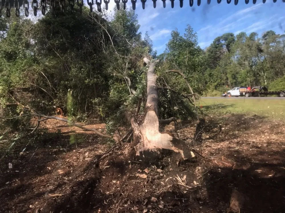 Custom residential landscaping in New Bern, NC - Ben's Excavating & Land Development