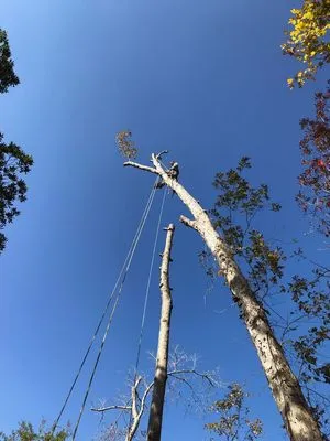 Ben's Excavating & Land Development Logo