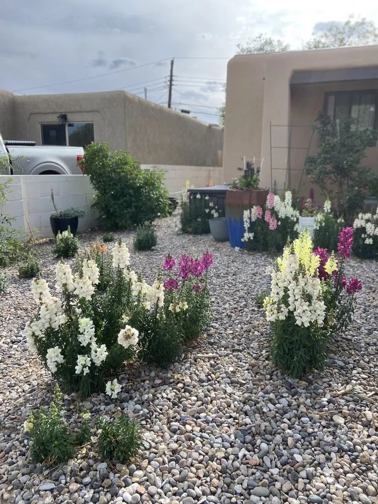 Local garden landscaping experts serving Albuquerque, NM - Bens Green Thumb