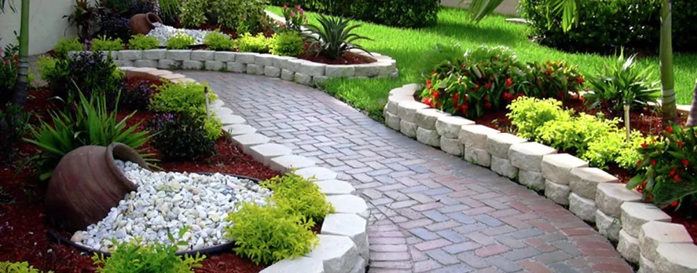 Professional yard cleanup service experts serving Fort Worth, TX - Ben's Landscaping