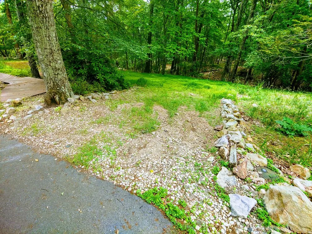 Trusted yard cleanup service for beautiful yards across Weyers Cave, VA - Ben's Lawn & Landscape