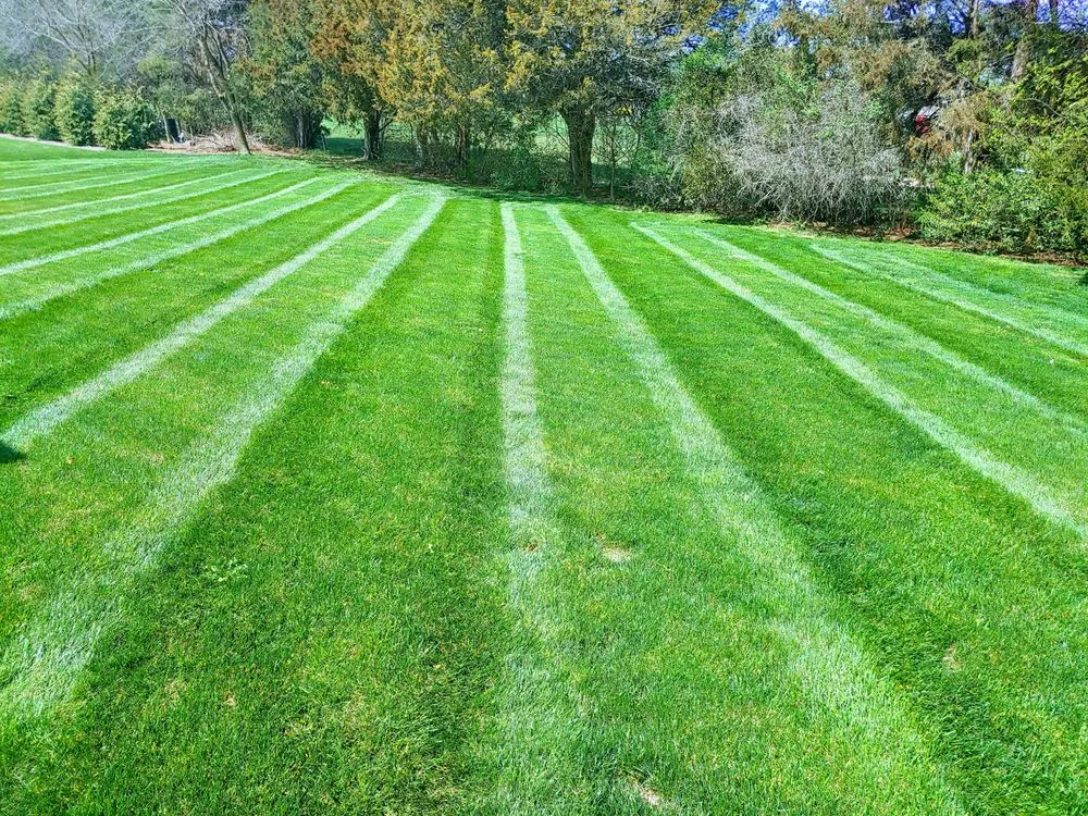 Professional lawn mowing service in Weyers Cave, VA - Ben's Lawn & Landscape