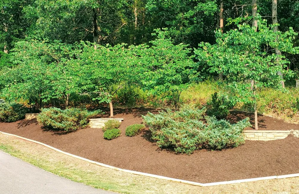 Custom outdoor landscaping experts serving Weyers Cave, VA - Ben's Lawn & Landscape
