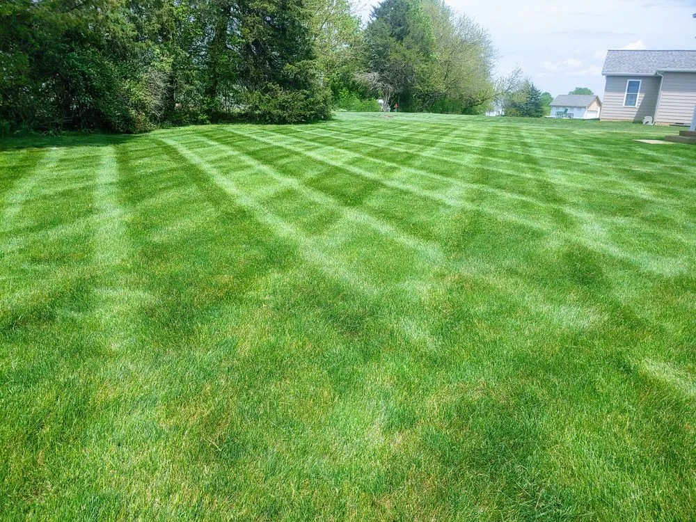 Affordable landscape installation experts serving Weyers Cave, VA - Ben's Lawn & Landscape