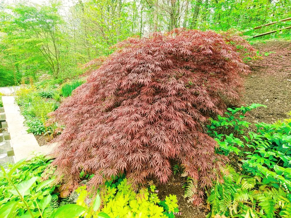 Custom residential landscaping in Weyers Cave, VA - Ben's Lawn & Landscape