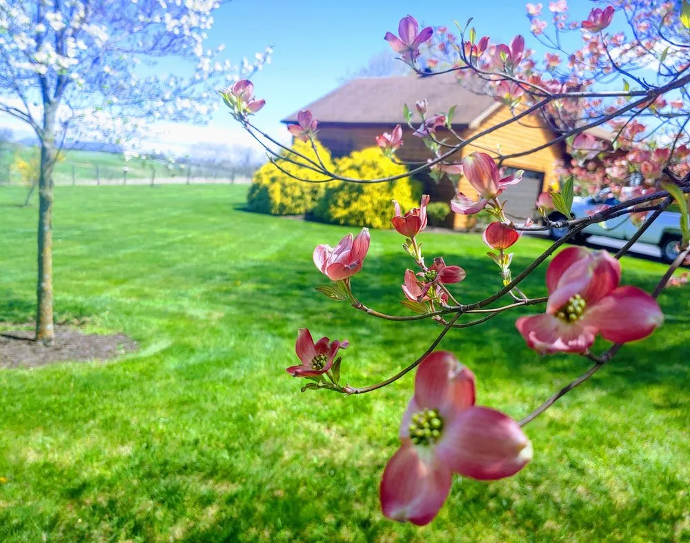 Expert lawn mowing service experts serving Weyers Cave, VA - Ben's Lawn & Landscape