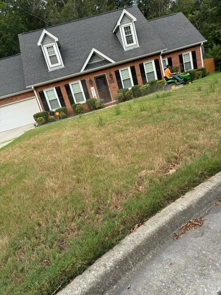 Professional landscaping services in Decatur, AL by Ben’s Lawn Care & More