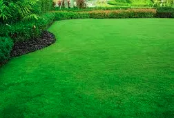 Expert landscape installation for outdoor upgrades across Camden, NJ - Bens Lawn Care