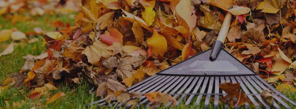 Professional lawn care service in Townsend, MA - Ben's Lawn Care