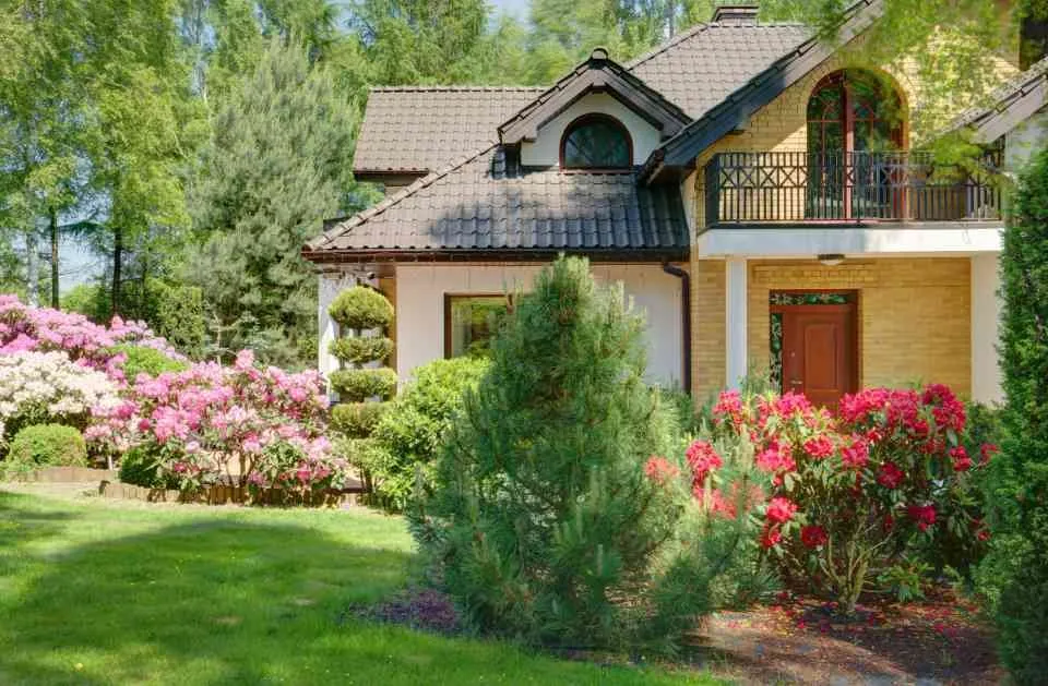 Expert yard cleanup service for beautiful yards across Townsend, MA - Ben's Lawn Care