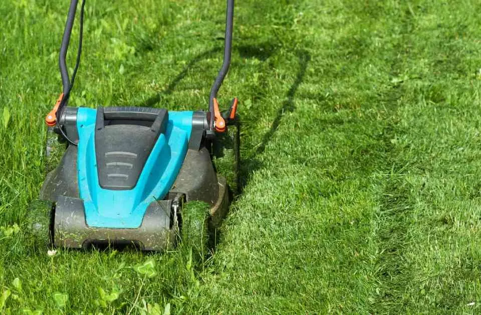 Custom lawn mowing service experts serving Townsend, MA - Ben's Lawn Care