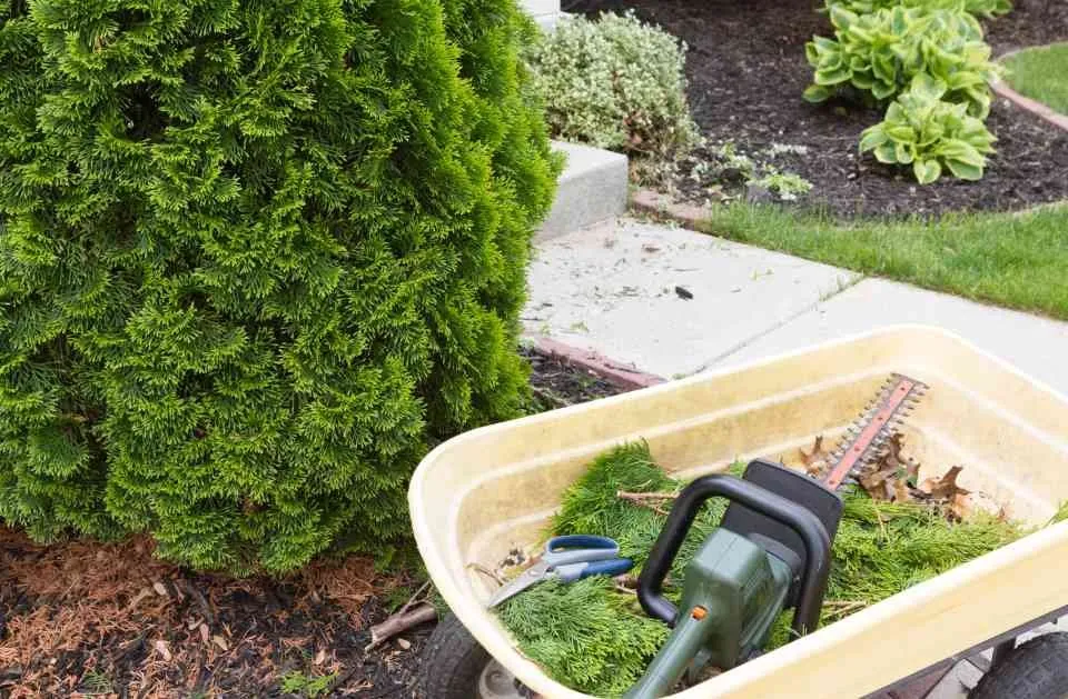 Affordable landscaping services in Townsend, MA by Ben's Lawn Care