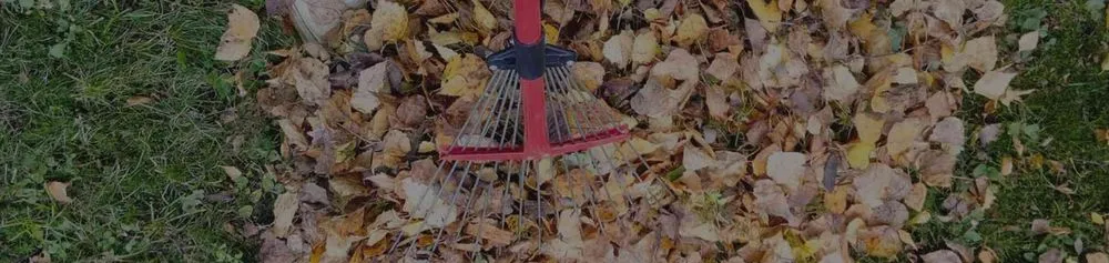 Reliable outdoor landscaping in Townsend, MA by Ben's Lawn Care