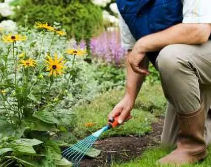 Professional lawn care service experts serving Townsend, MA - Ben's Lawn Care