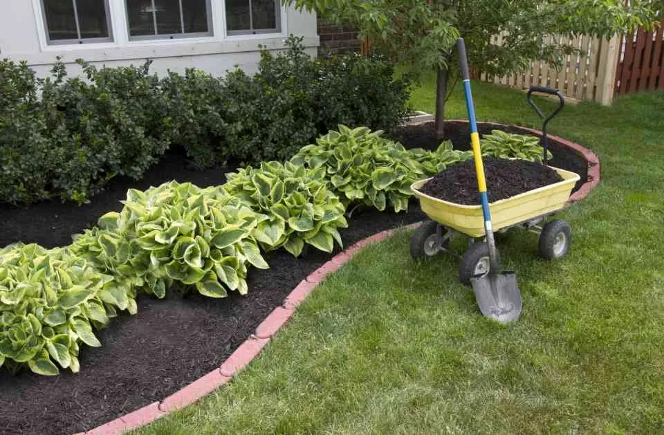 Reliable yard maintenance for beautiful yards in Townsend, MA by Ben's Lawn Care