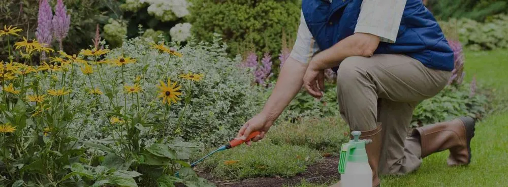 Professional outdoor landscaping in Townsend, MA by Ben's Lawn Care