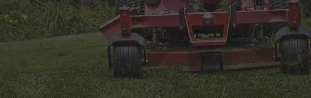 Expert yard cleanup service for beautiful yards across Townsend, MA - Ben's Lawn Care