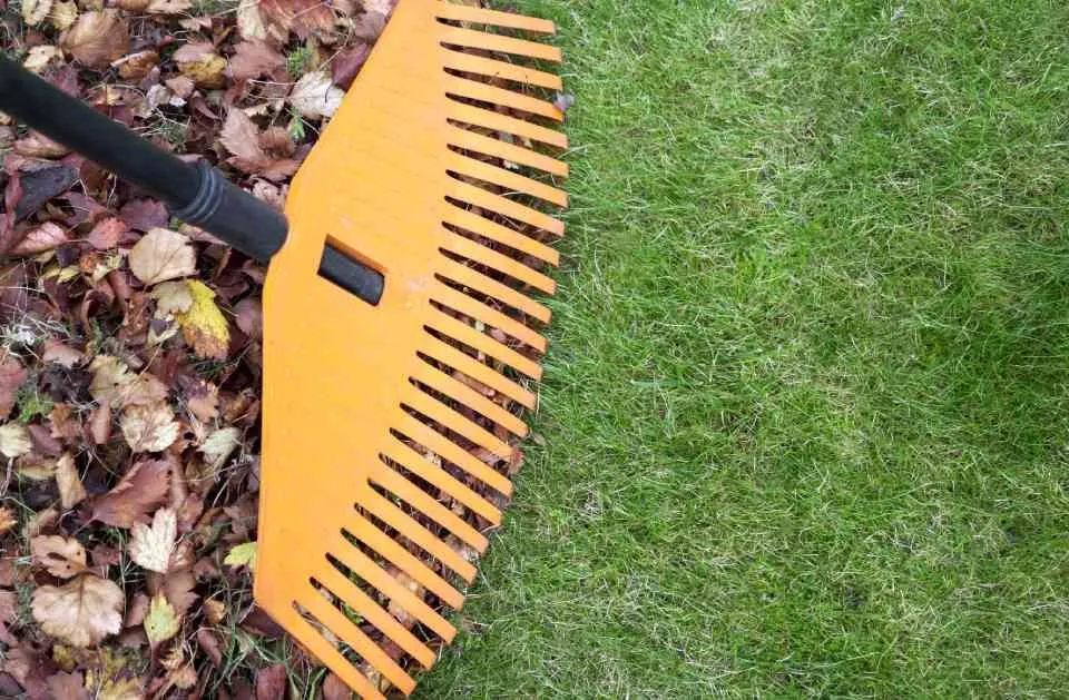 Affordable yard cleanup service experts serving Townsend, MA - Ben's Lawn Care