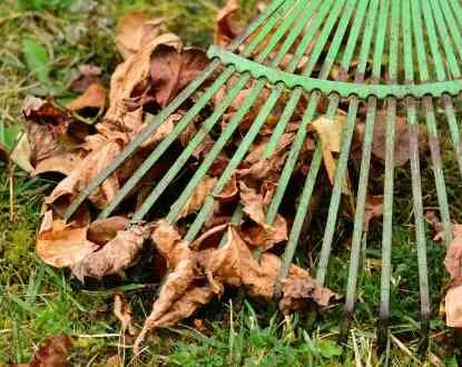 Expert yard maintenance near you across Townsend, MA - Ben's Lawn Care