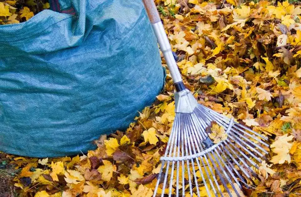 Top-rated garden landscaping for year-round maintenance across Townsend, MA - Ben's Lawn Care