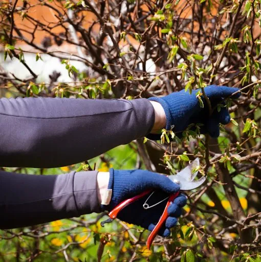 Local lawn mowing service in Baton Rouge, LA by Ben's Lawn service