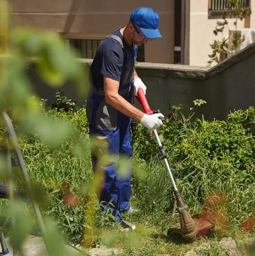 Top-rated outdoor landscaping in Baton Rouge, LA by Ben's Lawn service