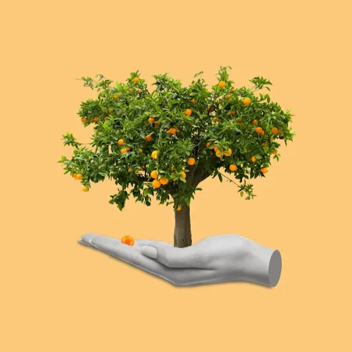 Local garden landscaping experts serving Baton Rouge, LA - Ben's Lawn service