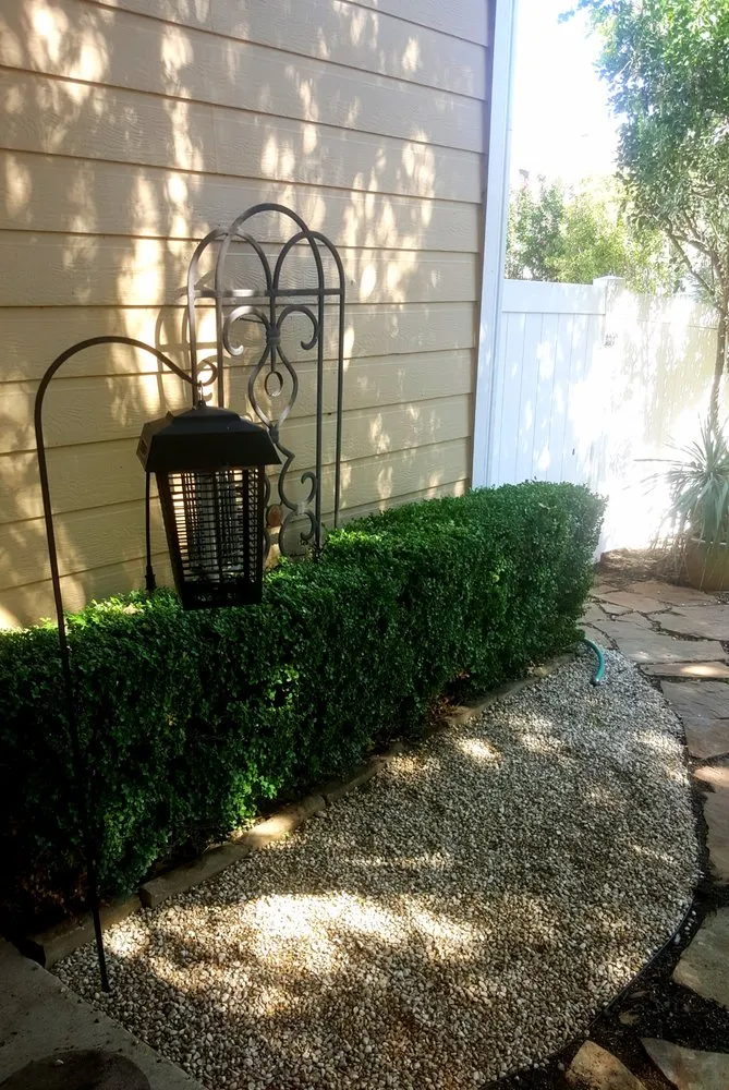 Trusted outdoor landscaping for year-round maintenance in Aubrey, TX by Ben's Lawncare