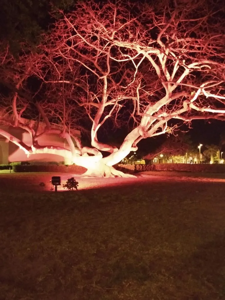 Custom garden landscaping for homes across St. Petersburg, FL - Ben's Trees