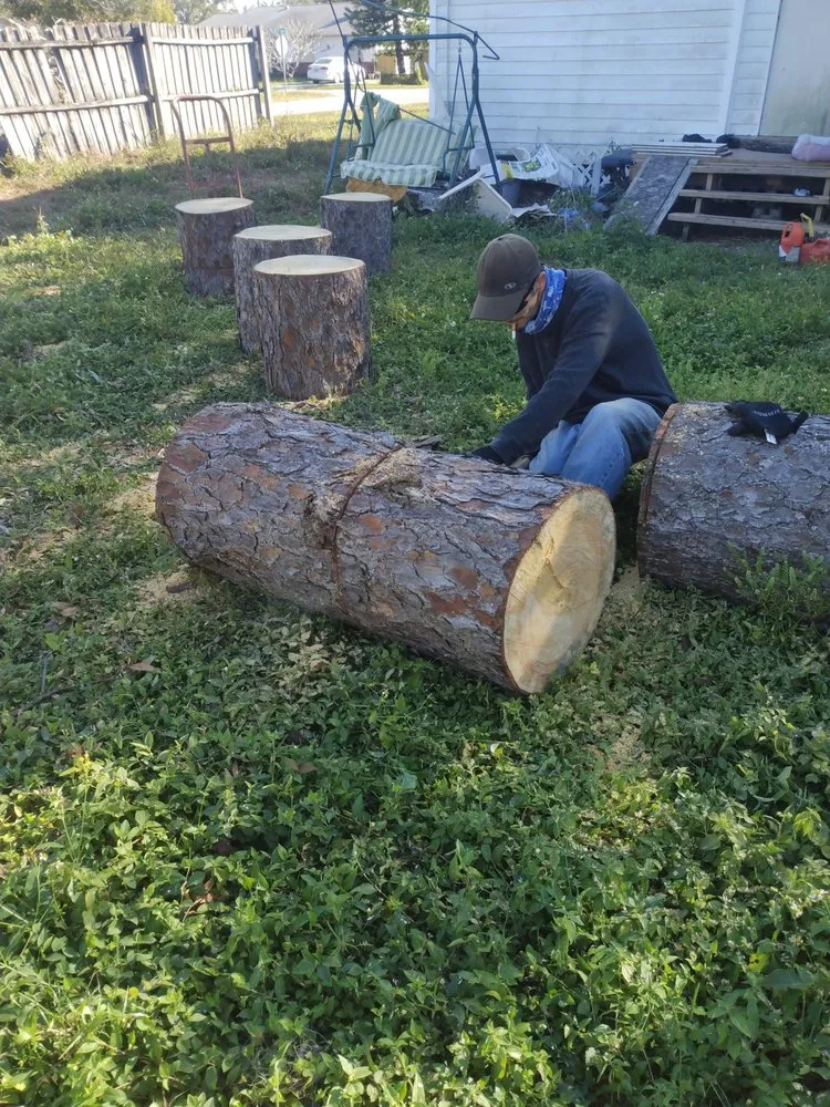 Expert landscaping services in St. Petersburg, FL - Ben's Trees