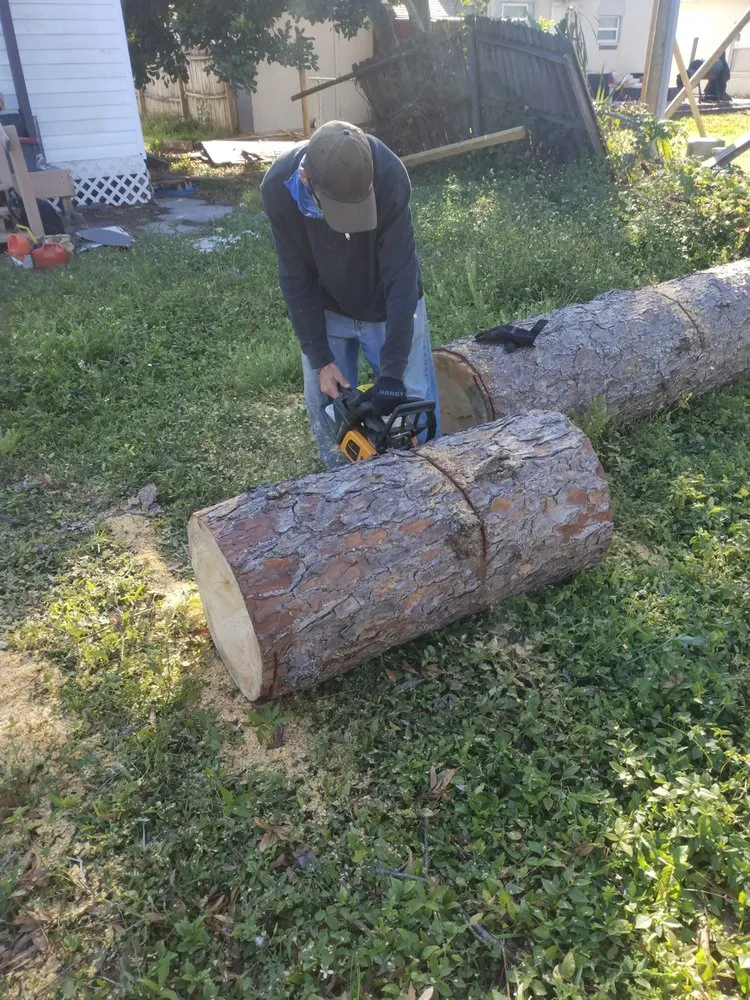 Local residential landscaping in St. Petersburg, FL by Ben's Trees