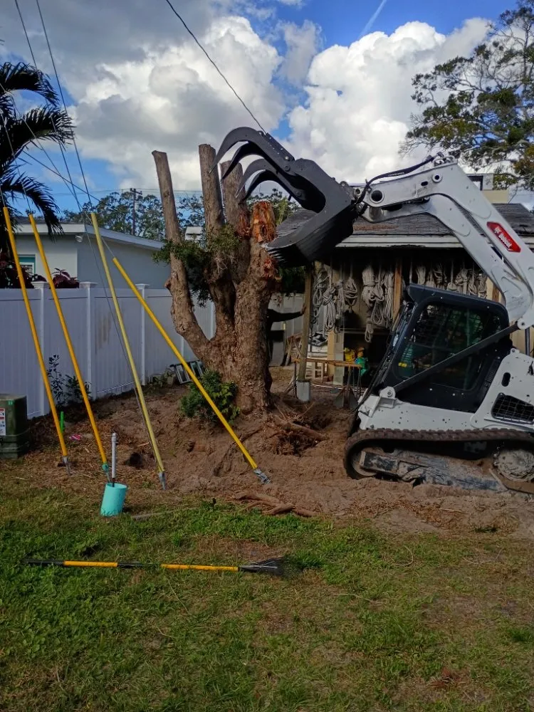 Trusted yard maintenance for residential properties in St. Petersburg, FL by Ben's Trees