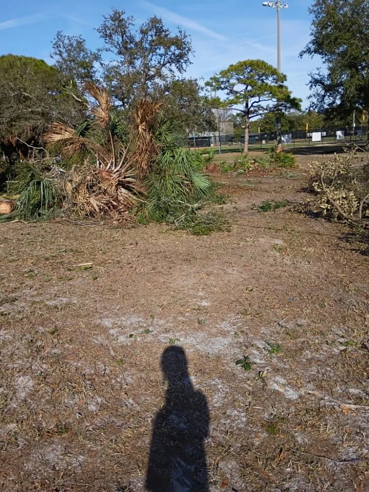 Trusted lawn mowing service for year-round maintenance in St. Petersburg, FL by Ben's Trees