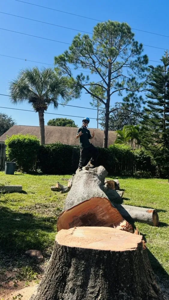 Affordable outdoor landscaping for homes in St. Petersburg, FL by Ben's Trees