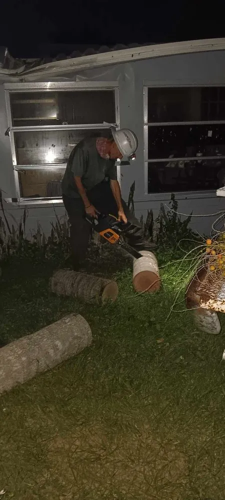 Expert residential landscaping in St. Petersburg, FL by Ben's Trees