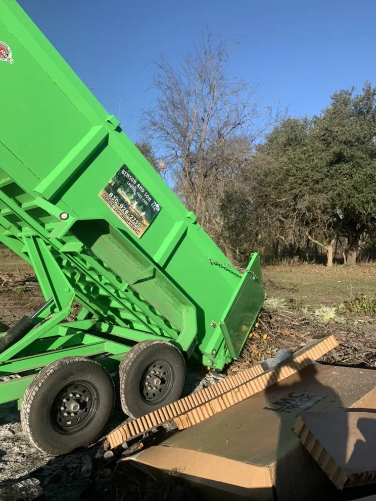 Reliable landscape design for year-round maintenance in Kerrville, TX by Benson and Son