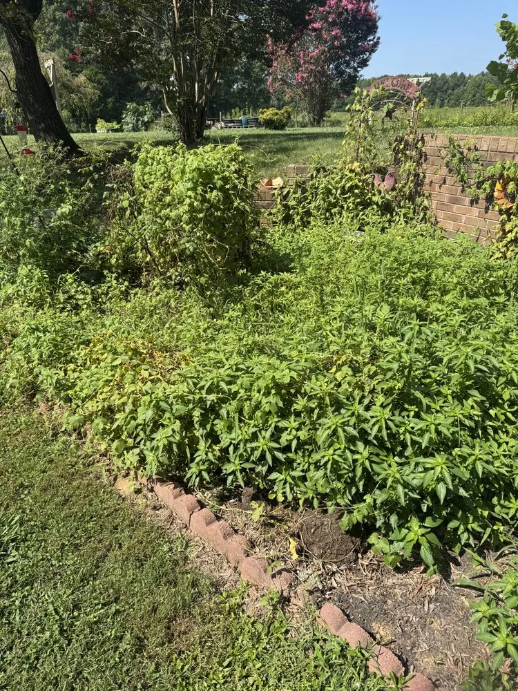 Custom lawn mowing service for outdoor upgrades in Mocksville, NC by Benson Cuts