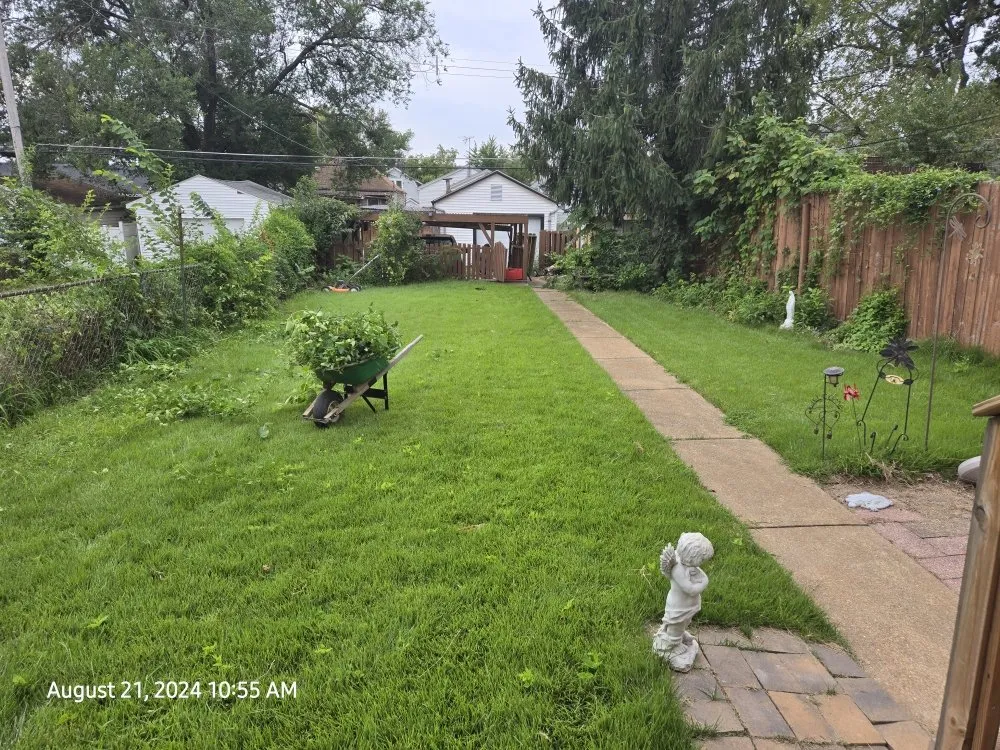 Trusted lawn care service in Saint Louis, MO by Benson Home Services