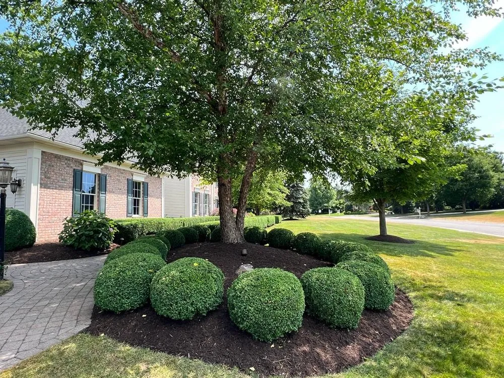 Reliable outdoor landscaping for outdoor upgrades in Victor, NY by Benson Landscape & Design