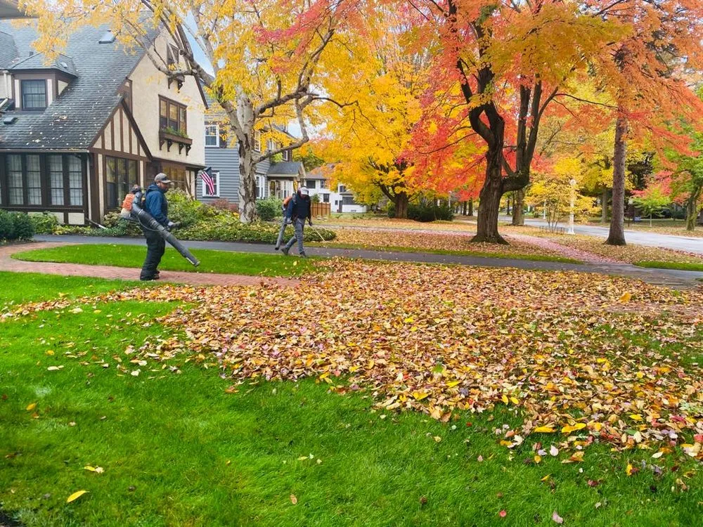 Professional lawn care service in Victor, NY by Benson Landscape & Design