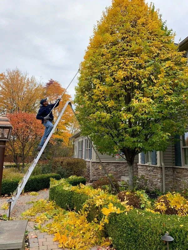 Professional landscape installation for homes in Victor, NY by Benson Landscape & Design