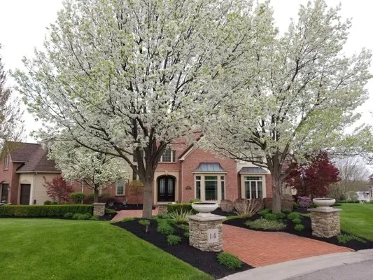 Benson Landscape & Design