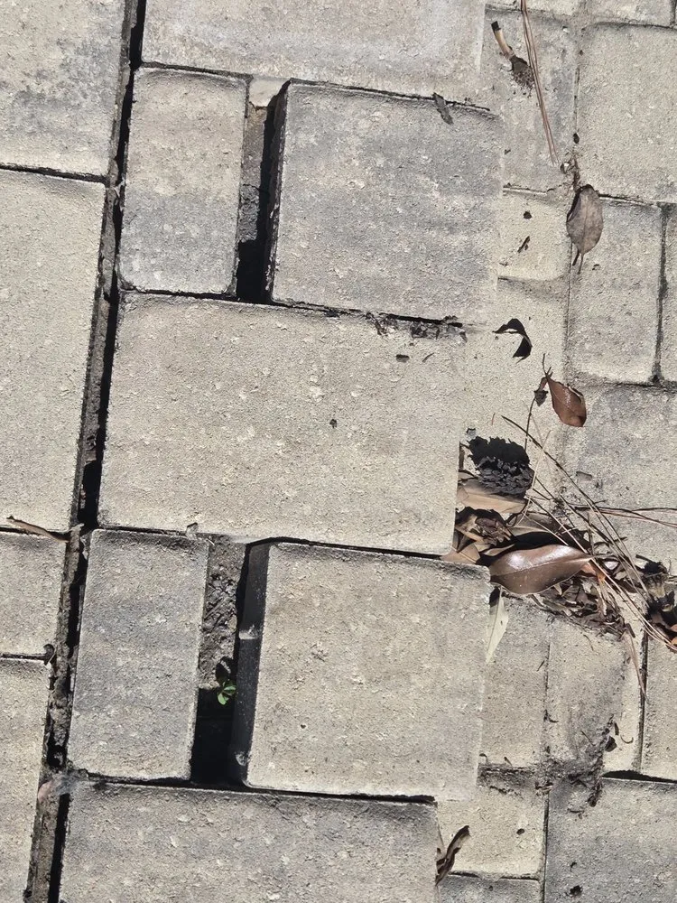 Local lawn care service in North Augusta, SC - Benson Lawn Maintenance